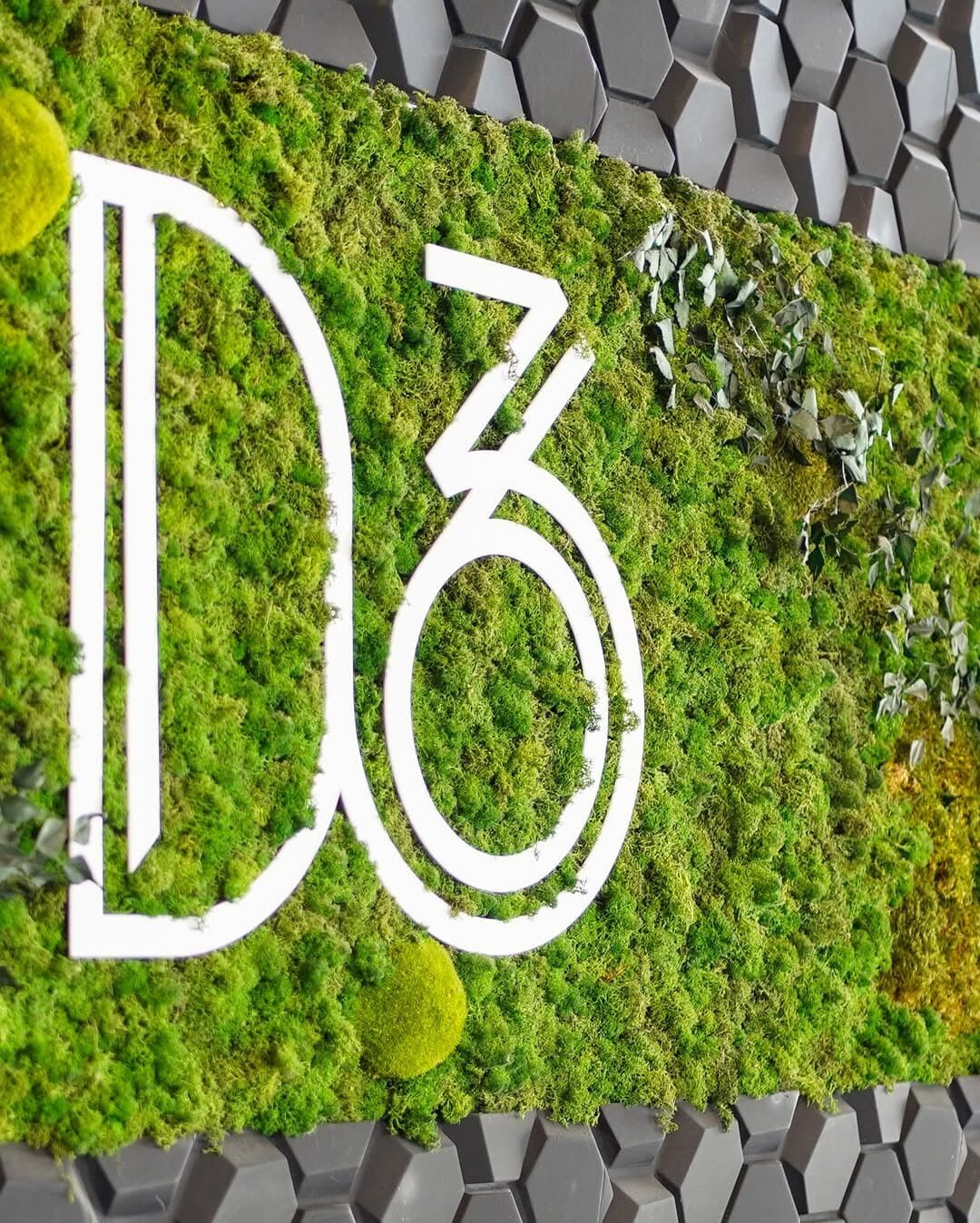 Semnul D36 alb pe peretele de mușchi verde din bistro.